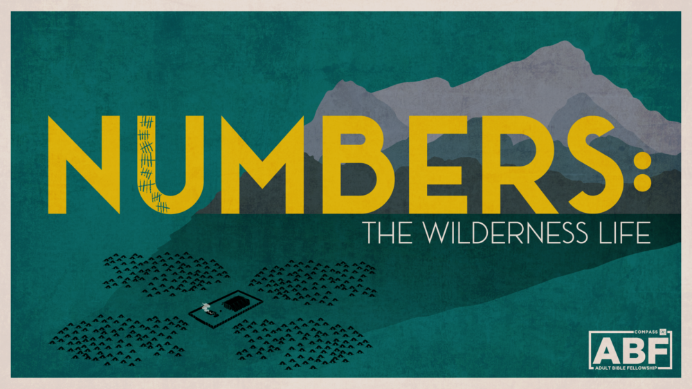 Numbers: The Wilderness Life Image