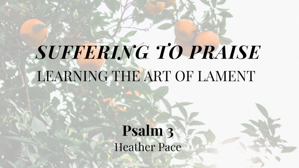 Suffering to Praise: Learning the Art of Lament (Psalm 3) Image