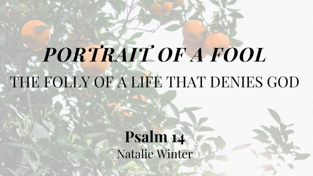 Portrait of a Fool: The Folly of a Life That Denies God (Psalm 14) Image