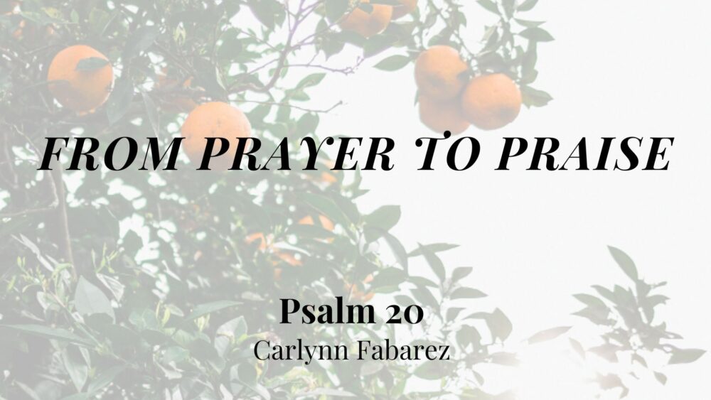 From Prayer to Praise (Psalm 20) Image