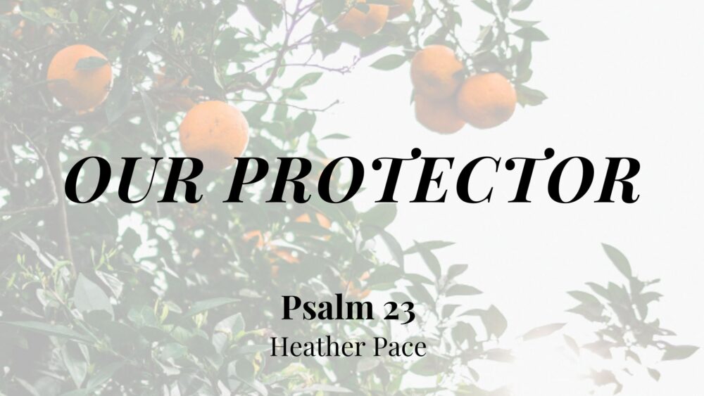 Our Protector (Psalm 23) Image