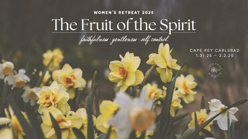 Fruit of the Spirit: Self Control  Image