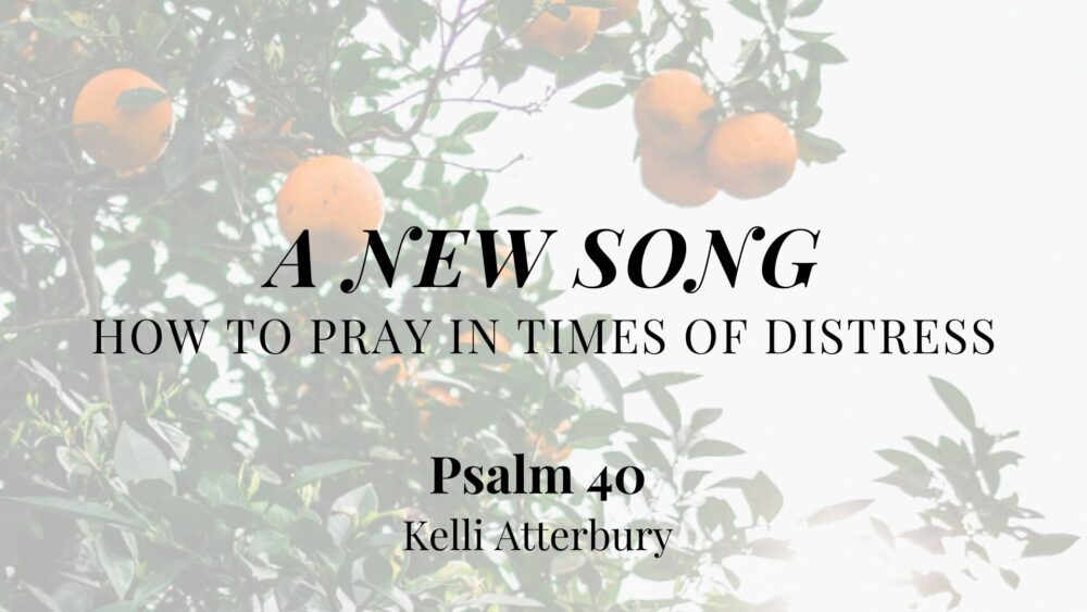 A New Song: How to Pray in Times of Distress (Psalm 40) Image